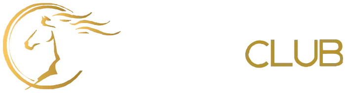 Vip Arab Club casino