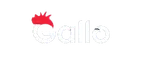 Gallo casino