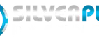 Silver Play casino