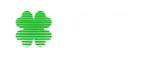 WildTokyo
